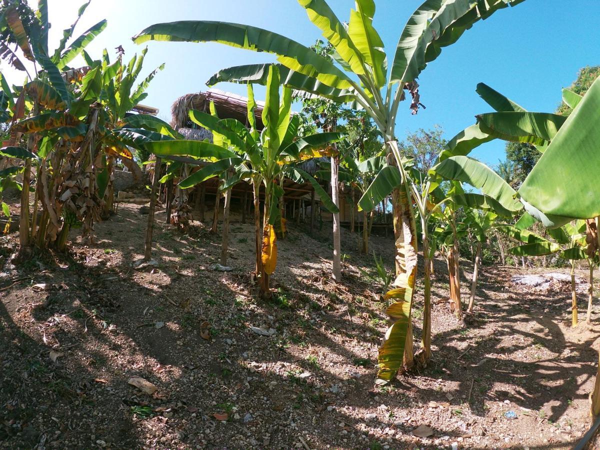 Private Beach House Maloka Surf Puerto Limon Exterior foto